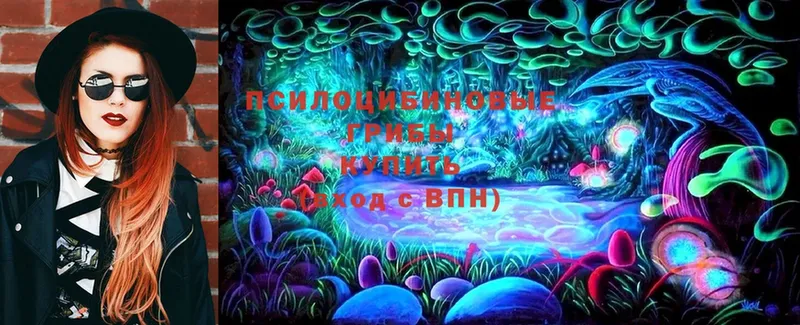 Галлюциногенные грибы MAGIC MUSHROOMS  Ковдор 